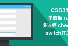 用CSS3美化单选框 radio 、多选框 checkbox 和 switch开关按钮-WEB前端开发